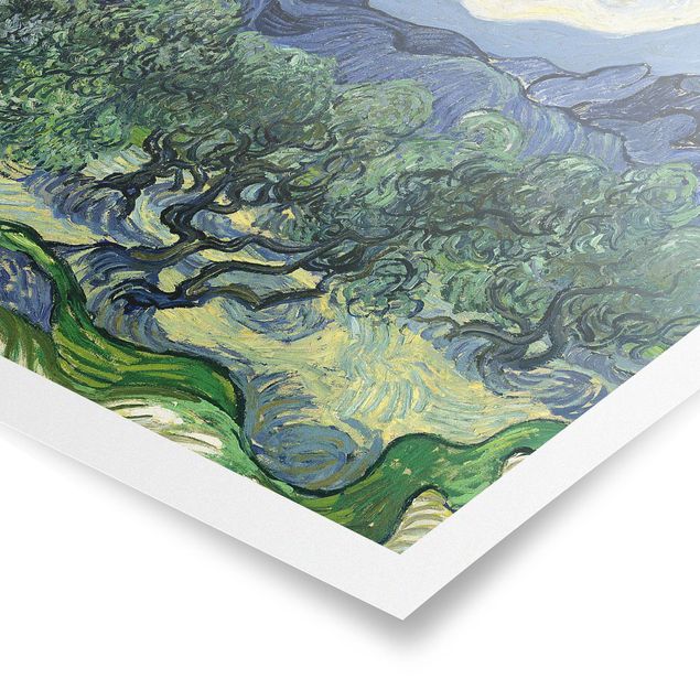 Poster - Vincent Van Gogh - Olive Trees