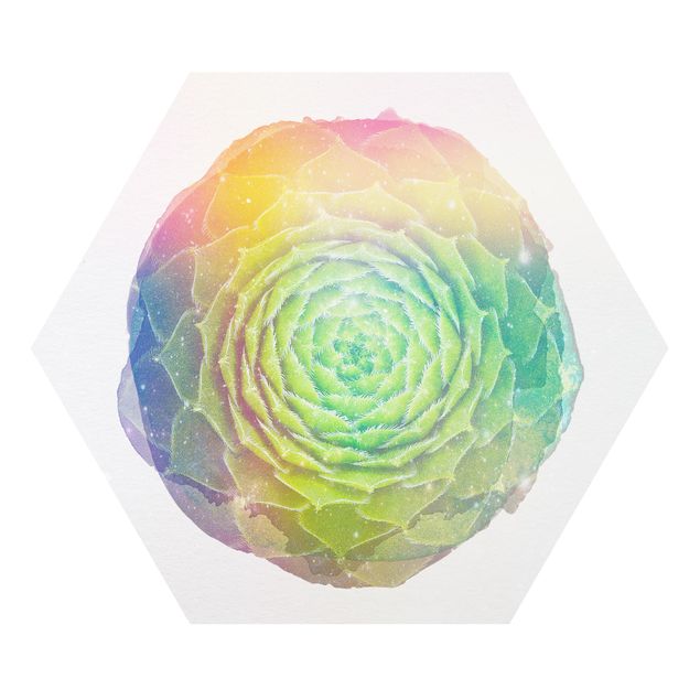 Forex hexagon - WaterColours - Mandala Succulent