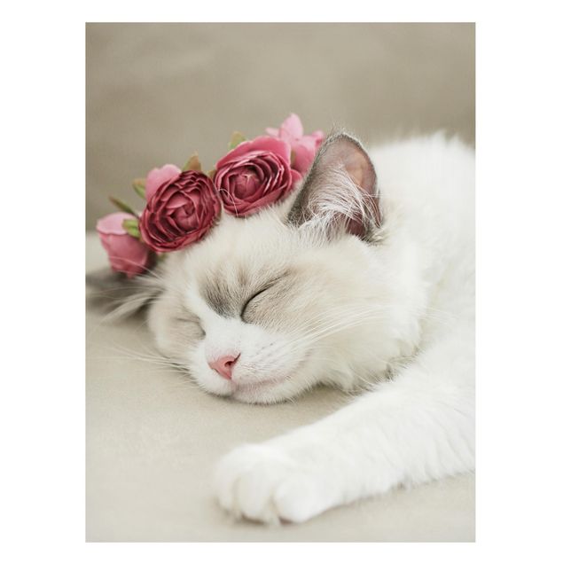 Magnetic memo board - Sleeping Cat with Roses