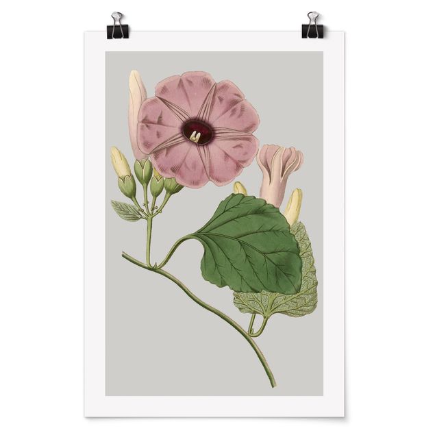 Poster flowers - Floral Jewelry III