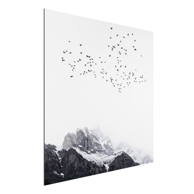 Aluminium dibond Flock Of Birds In Front Of Mountains Black And White