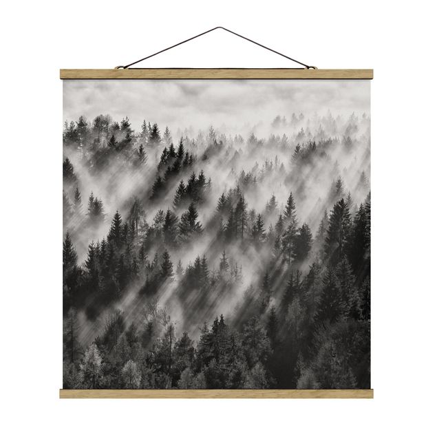 Fabric print with poster hangers - Light Rays In The Coniferous Forest
