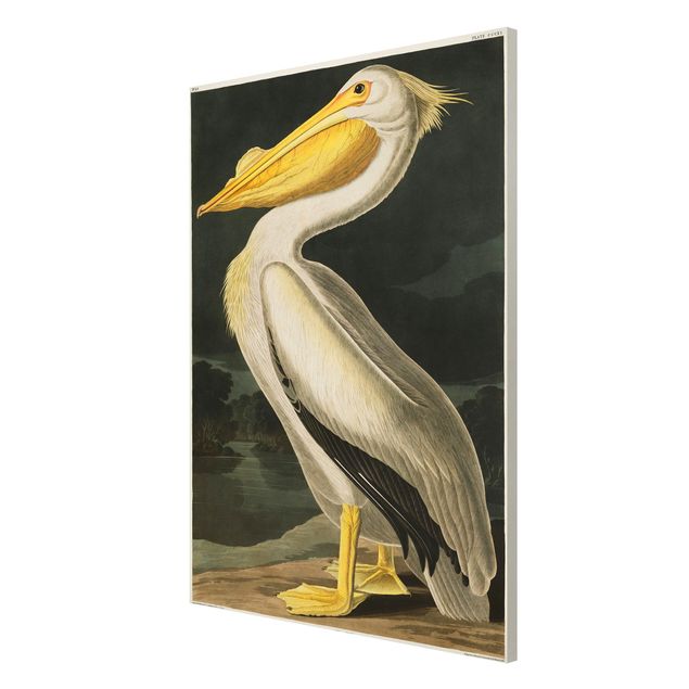 Magnetic memo board - Vintage Board White Pelican
