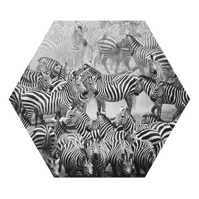 Alu-Dibond hexagon - Zebra herd II