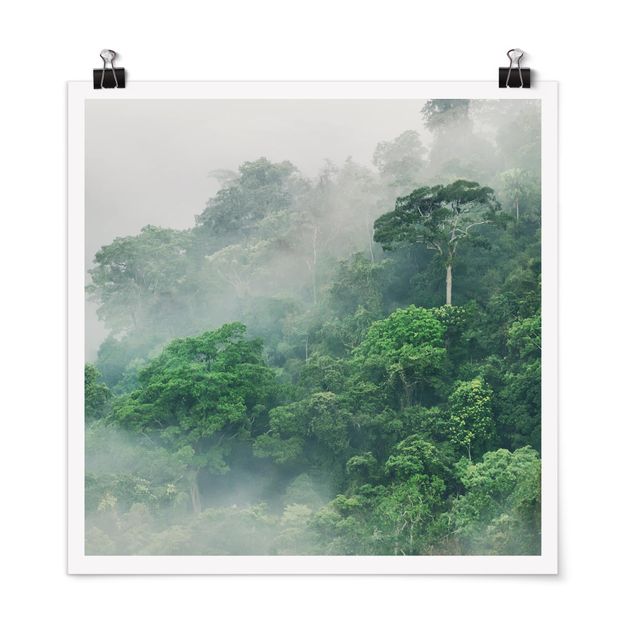 Poster - Jungle In The Fog
