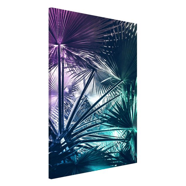 Magnetic memo board - Tropical Plants Palm Leaf In Turquoise IIl