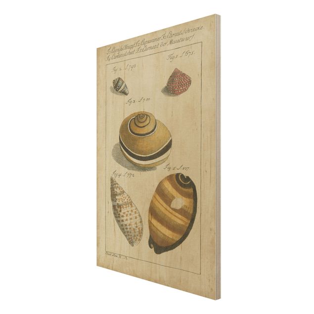 Print on wood - Vintage Worm Drawing Yellow