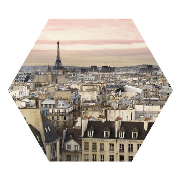 Alu-Dibond hexagon - Paris Up Close