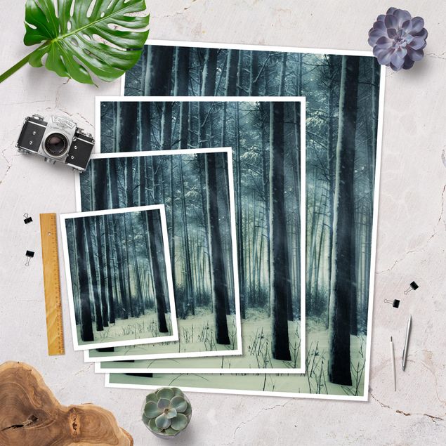 Poster forest - Mystical Winter Forest