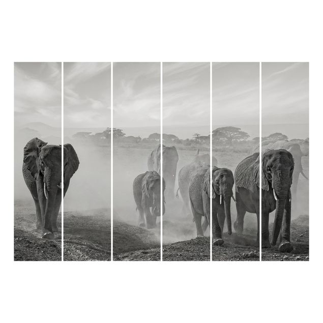 Sliding panel curtains set - Herd Of Elephants