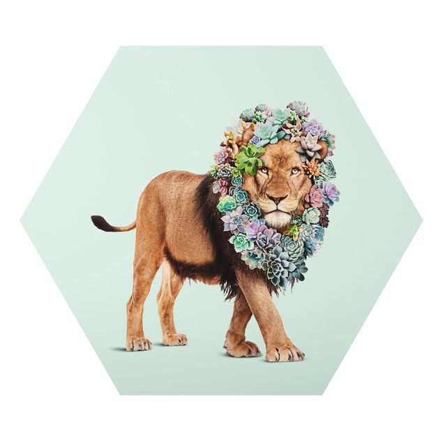 Alu-Dibond hexagon - Lion With Succulents