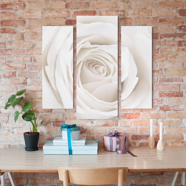 Print on canvas 3 parts - Pretty White Rose