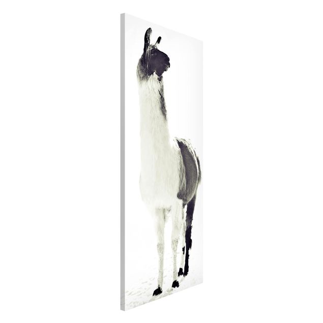 Magnetic memo board - Fluffy llama