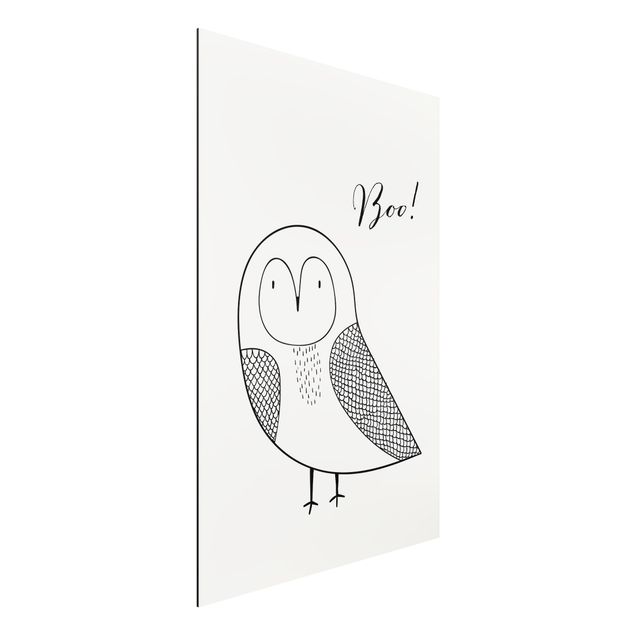 Aluminium dibond Owl Boo Drawing