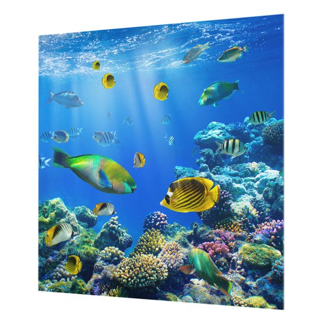 Glass Splashback - Underwater Lights - Square 1:1