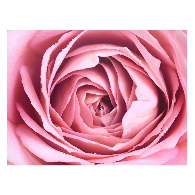 Magnetic memo board - Pink Rose Blossom