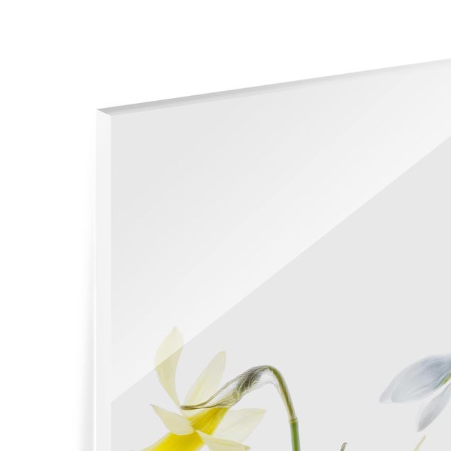 Glass Splashback - Spring Flowering - Square 1:1