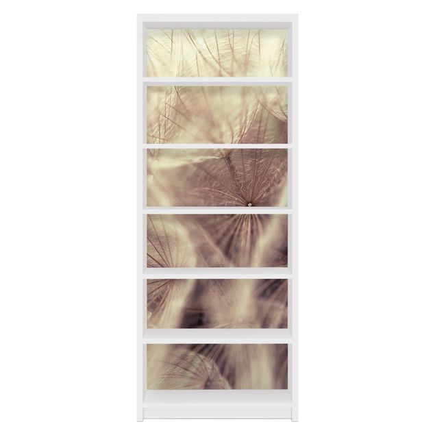 Adhesive film for furniture IKEA - Billy bookcase - Detailed Dandelion Macro Shot With Vintage Blur Effect