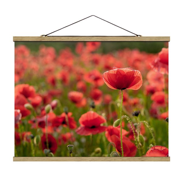 Fabric print with poster hangers - Poppy Field In Sunlight