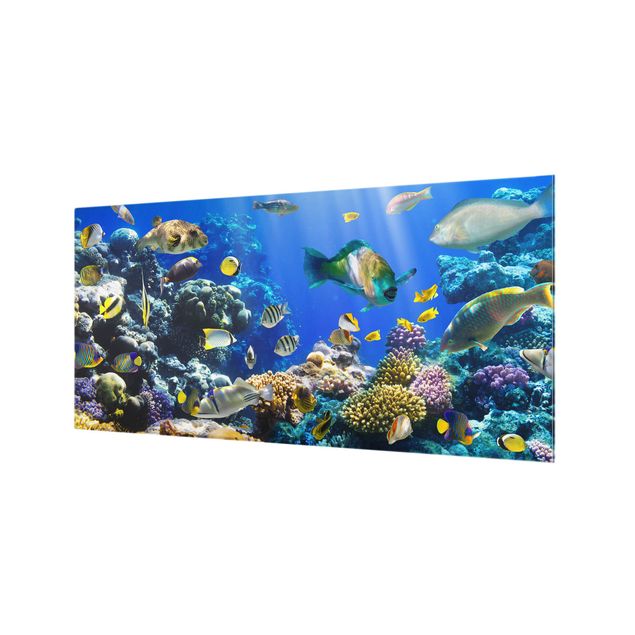 Splashback - Underwater Reef