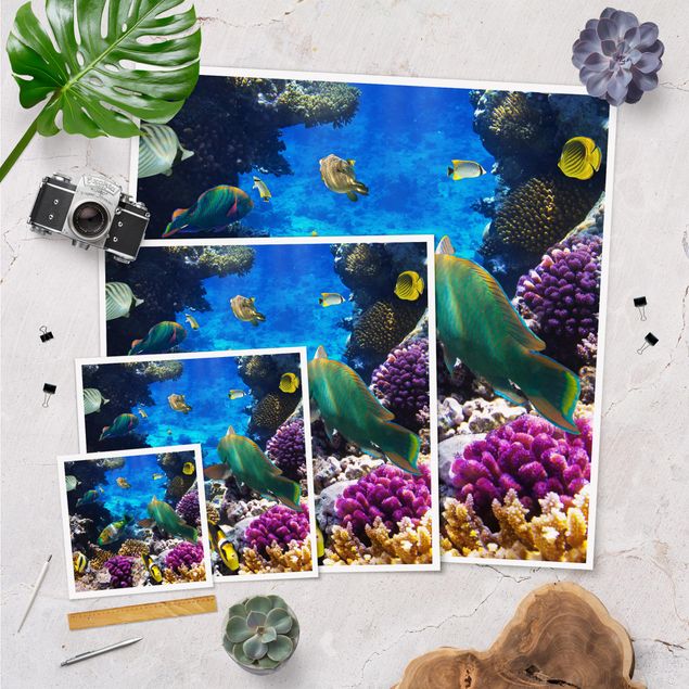 Poster - Underwater Dreams