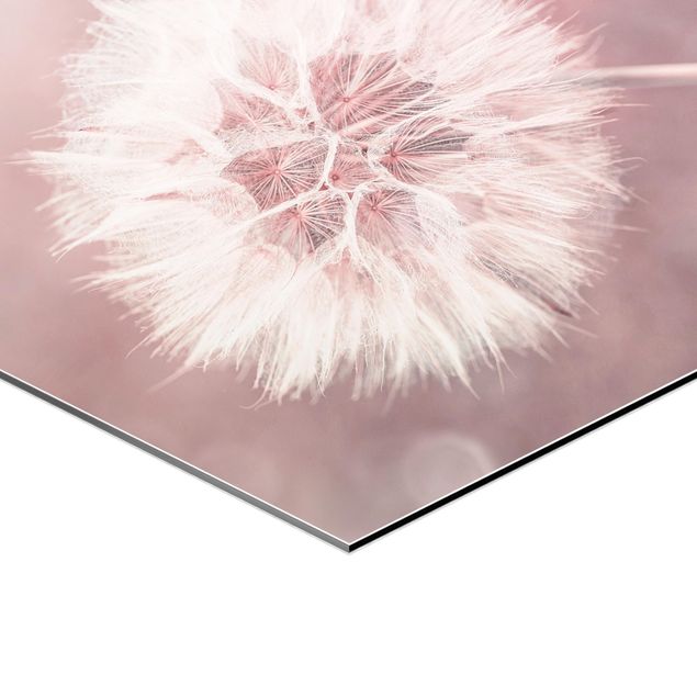 Alu-Dibond hexagon - Dandelion Bokeh Light Pink