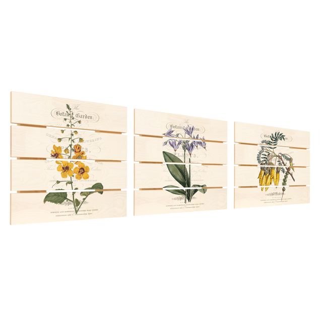 Print on wood - Botanical Tableau Set I