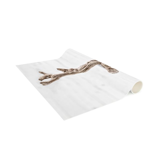 Beige rugs White Snail Shell And Root Wood