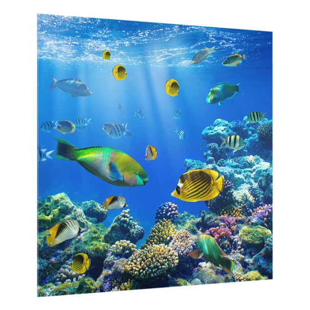 Glass splashback kitchen animals Underwater Lights