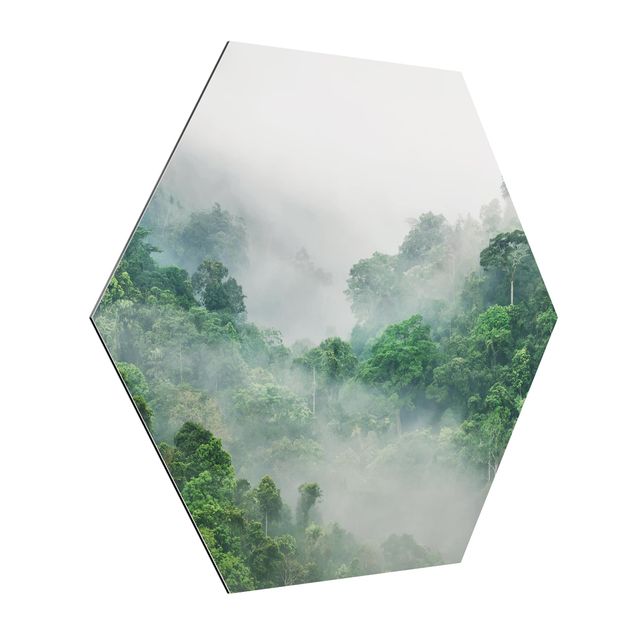 Alu-Dibond hexagon - Jungle In The Fog