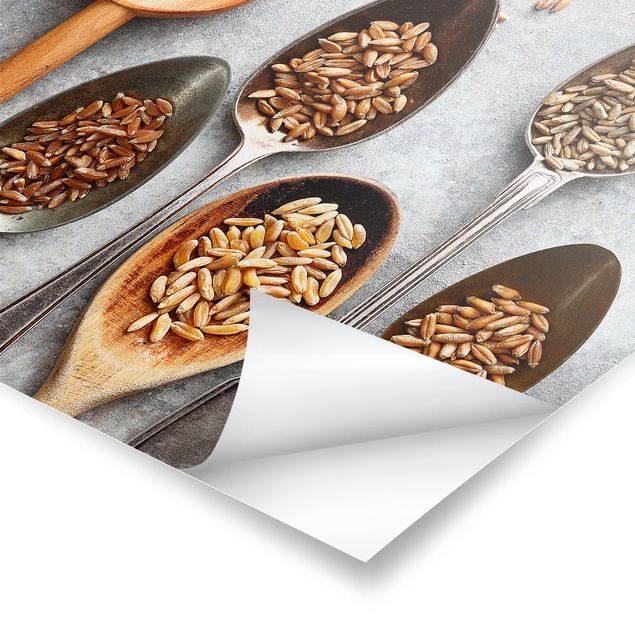 Poster - Cereal Grains Spoon