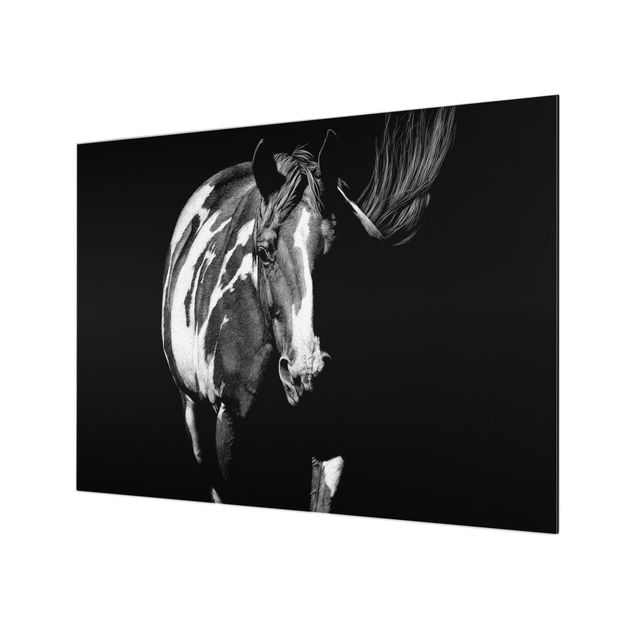 Glass Splashback - Horse In The Dark - Landscape 3:4