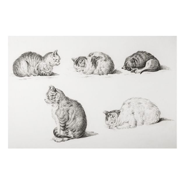 Print on aluminium - Vintage Drawing Cat I