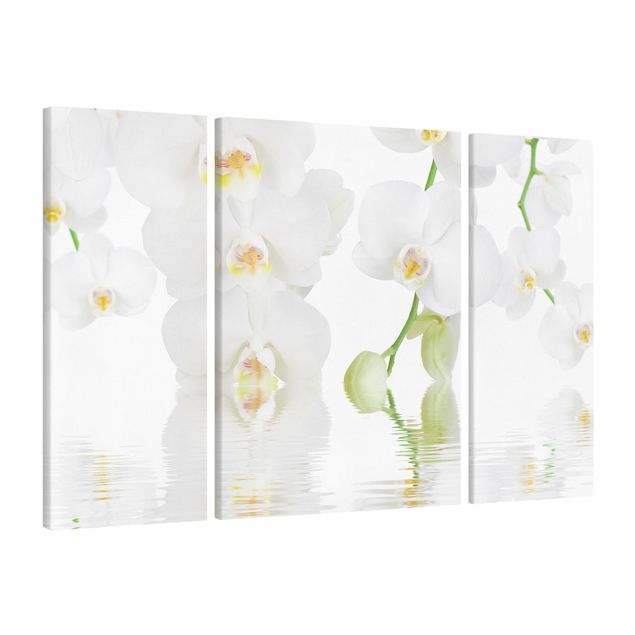 Print on canvas 3 parts - Spa Orchid - White Orchid