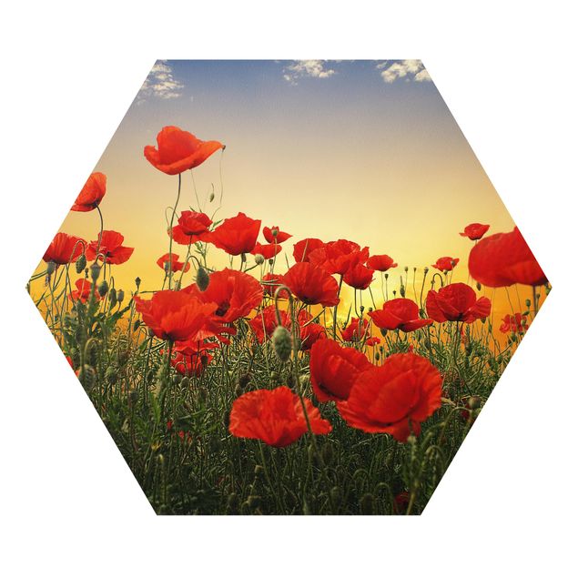 Forex hexagon - Poppy Field In Sunset