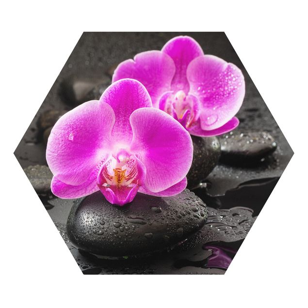 Hexagon Picture Forex - Pink Orchid Flowers On Stones With Drops