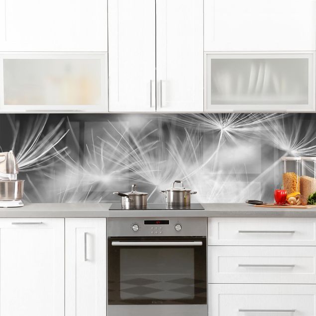 Kitchen splashback black and white Moving Dandelions Close Up On Black Background