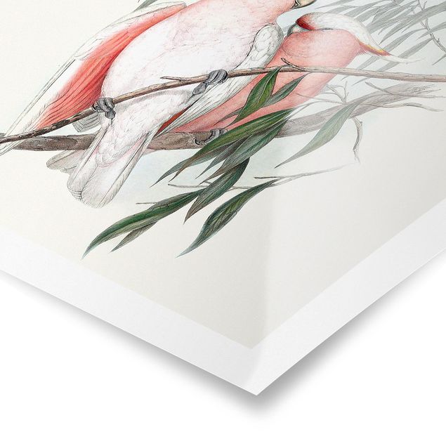 Poster - Pastel Parrots I