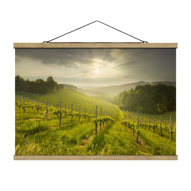 Fabric print with poster hangers - Sunrays Vineyard