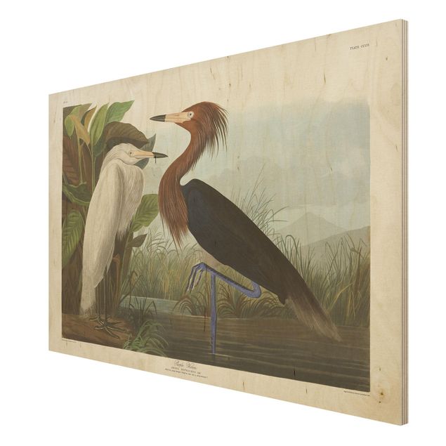 Print on wood - Vintage Board Purple Heron