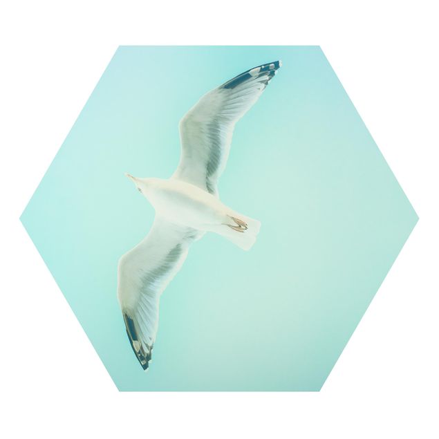 Alu-Dibond hexagon - Blue Sky With Seagull