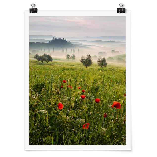 Poster nature & landscape - Tuscan Spring