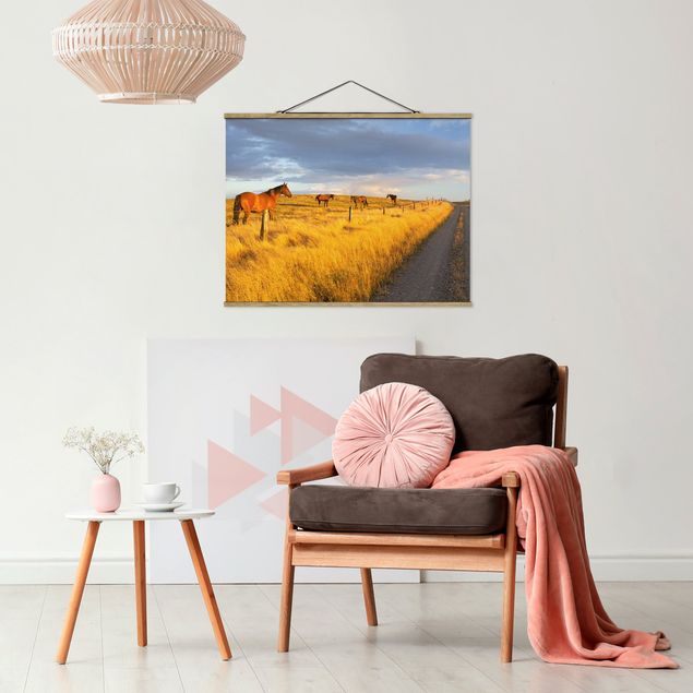 Fabric print with poster hangers - Field Road And Horse In Evening Sun