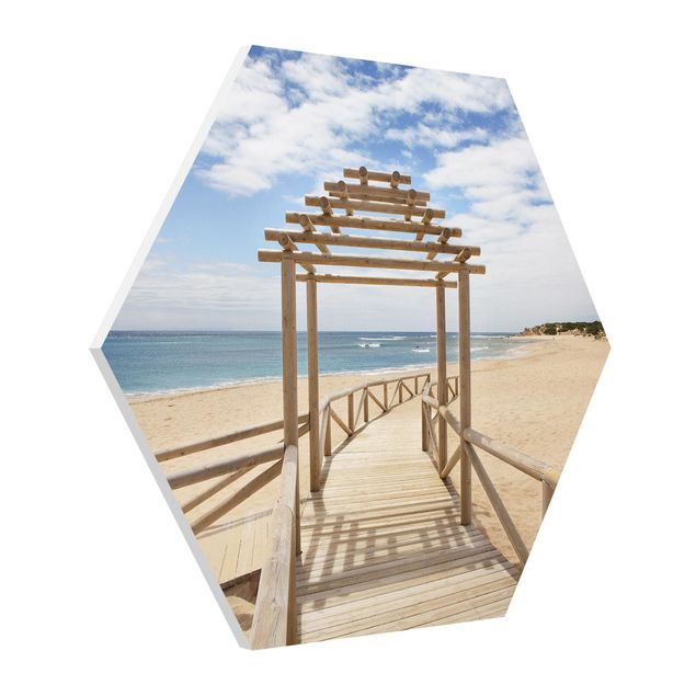 Forex hexagon - Beach Path To The Sea In Andalusia