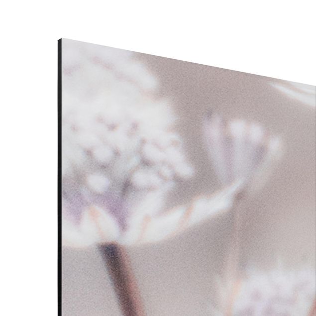Print on aluminium - Wild Flowers Light As A Feather
