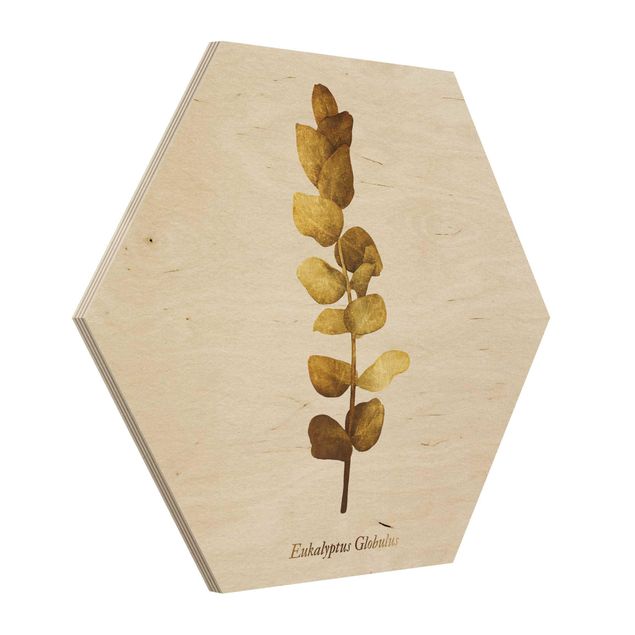 Wooden hexagon - Gold - Eucalyptus