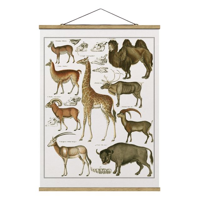 Fabric print with poster hangers - Vintage Board Giraffe, Camel And IIama