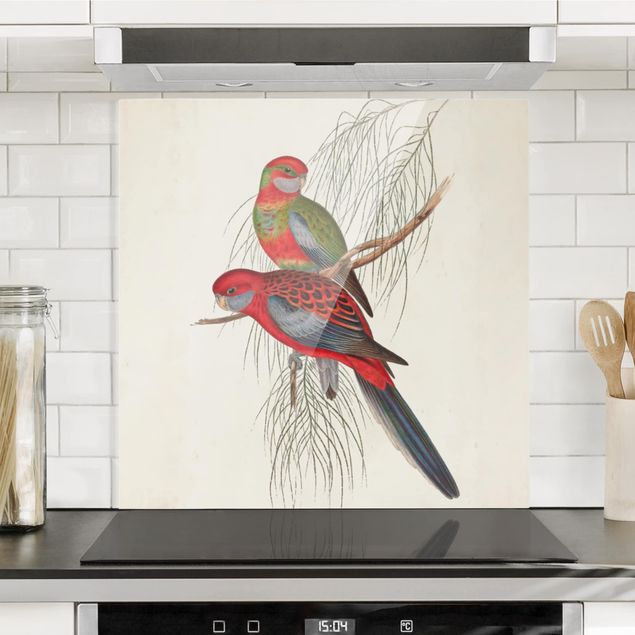 Glass splashback kitchen flower Tropical Parrot III