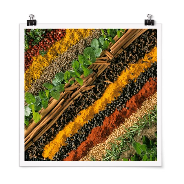 Poster - Bands of Spices