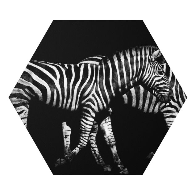 Forex hexagon - Zebra In The Dark